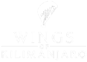 标志——wings-of-kilimanjaro