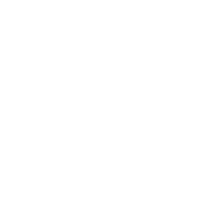 logo--easyrig