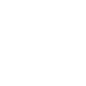 logo--skb